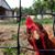 Lori NeSmith's profile image