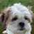 Sherry Stewart's profile image