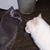 Ruth Rodabaugh's profile image