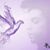 Cynthia Cawley Rice's profile image