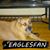 Charles Mccandless's profile image