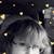 Tracy Biehle's profile image