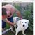 Maurie Mitchell's profile image