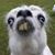Scott Toborg's profile image