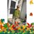 Rosemarie Braun-Germann's profile image