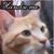 George Parkinson's profile image