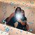 Corinne Suarez's profile image
