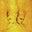 Shannon's profile image