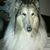 Patty A Rulli's profile image
