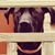 Julie Dunn Nasso's profile image