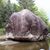 Cliff Bigoney's profile image