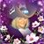Misty L. Dowd-Huba's profile image
