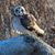 Kim Weissenfels's profile image