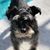 Holly Blanar Voelker's profile image