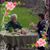 Karley Lynn Kennish's profile image