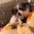 Holly Bowman's profile image