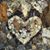 Donna Luvaas Bye's profile image