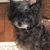 Kelly Titano's profile image