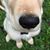 Bonnie Zettelmier Taylor's profile image
