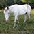 Kami Rothrock Baggett's profile image
