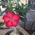 Hong Truong's profile image