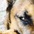 Deborah Todd's profile image