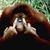Uncle Paul Newton's profile image