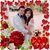 Vu Vo's profile image