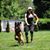 Lauren Rossi's profile image