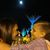 Pauline Kontogiannis Houchins's profile image
