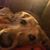 Amy Deubell's profile image