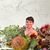 Cindy Pincus's profile image