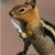 JFur Rasputin's profile image
