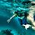 Gina DiBlasio Wherry's profile image