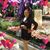 Isela Mejia Mercado's profile image