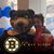Kim Hebert's profile image