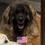 Kathleen Vande Voorde Thomas's profile image
