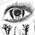 Kaye Gray-Manolov's profile image