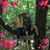 Betsi Platt's profile image