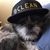 Iris T. Montalvo's profile image