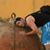 Rudi Anna's profile image