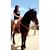 Briseida Castillo's profile image
