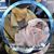 Brandi Ausk's profile image