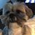 Barbara Behn Perchalski's profile image