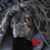 Ellie Cantrell-Charbonneau's profile image