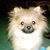 Lorri Stover's profile image