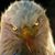 Shaun Pentland's profile image