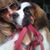 Cherie Polo's profile image