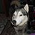 Linda Aldrich's profile image