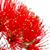 Luana Ahina Johnson's profile image